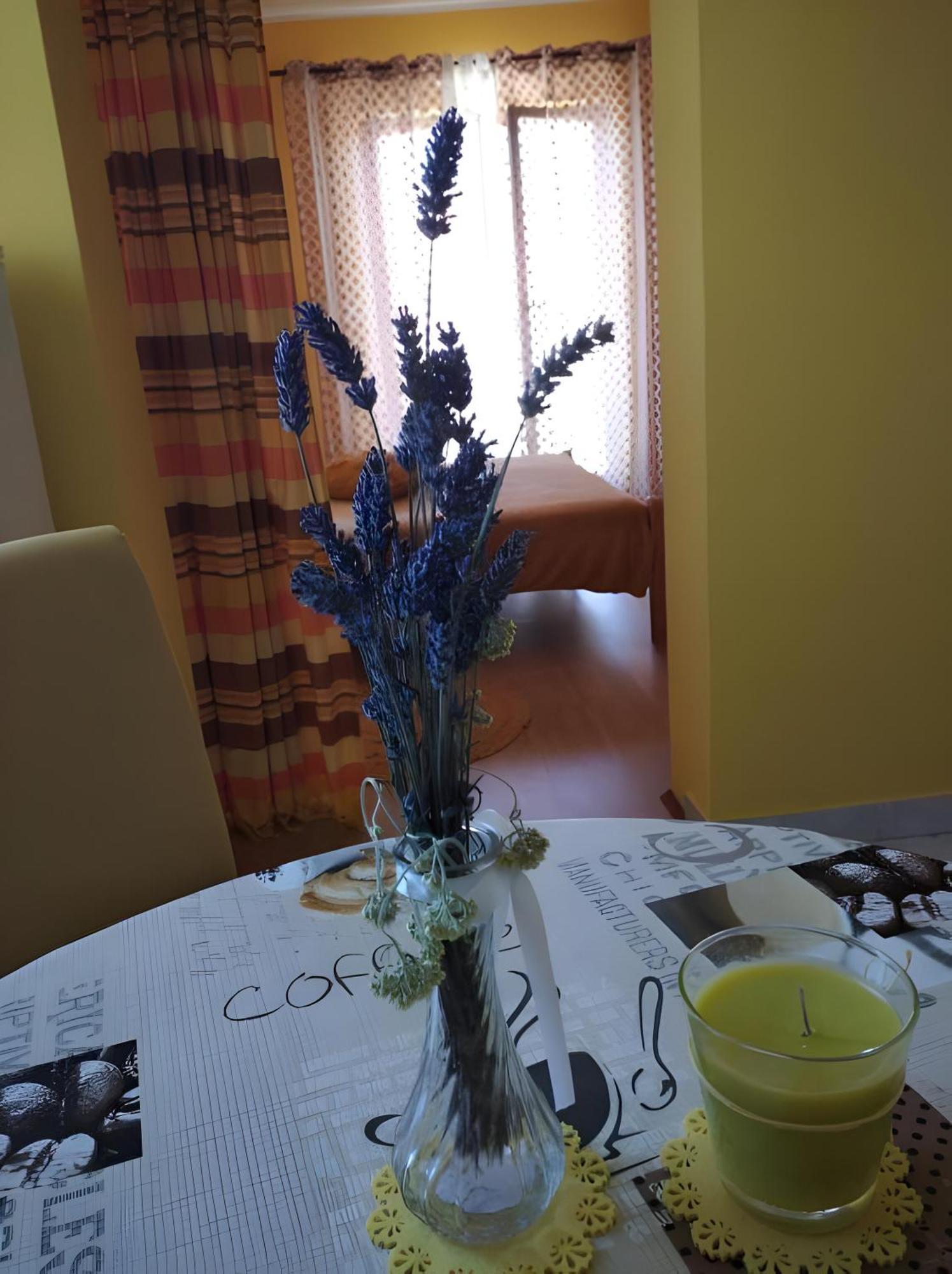 Cozy Apartments Danica Novalja With Terrace - First Floor Buitenkant foto